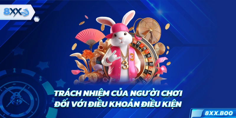 Trách nhiệm của người chơi đối với điều khoản điều kiện